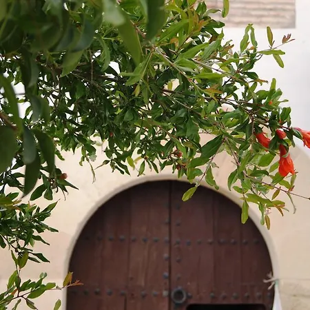 Landsted Casa De La Placeta Del Rincon